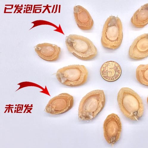 湛江小干鮑 天然海味，佛跳墻的點睛之筆