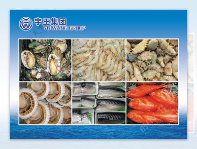 從海洋到餐桌 水產品與海鮮的定義與魅力