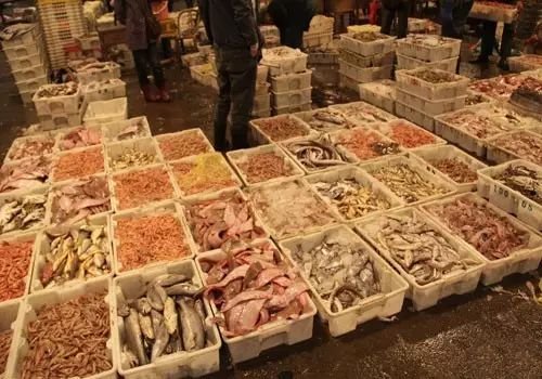 收藏!全國知名水產凍品批發市場一覽